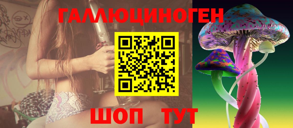 Псилоцибиновые грибы GOLDEN TEACHER  Вход с VPN  купить наркотики цена  Сердобск 