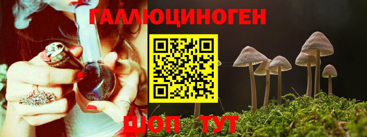 Псилоцибиновые грибы Psilocybine cubensis Сердобск